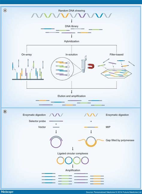 Targeted Next Generation Sequencing For Genetic Disorders
