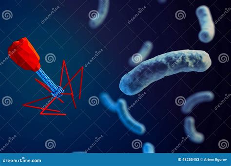 Bacteriophage Attacking E Coli Bacteria Medically Accurate 3d