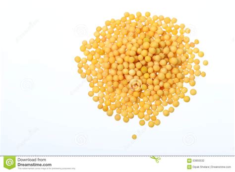 Yellow Mustard Seeds Stock Photo Image Of Orange Grain 53850532