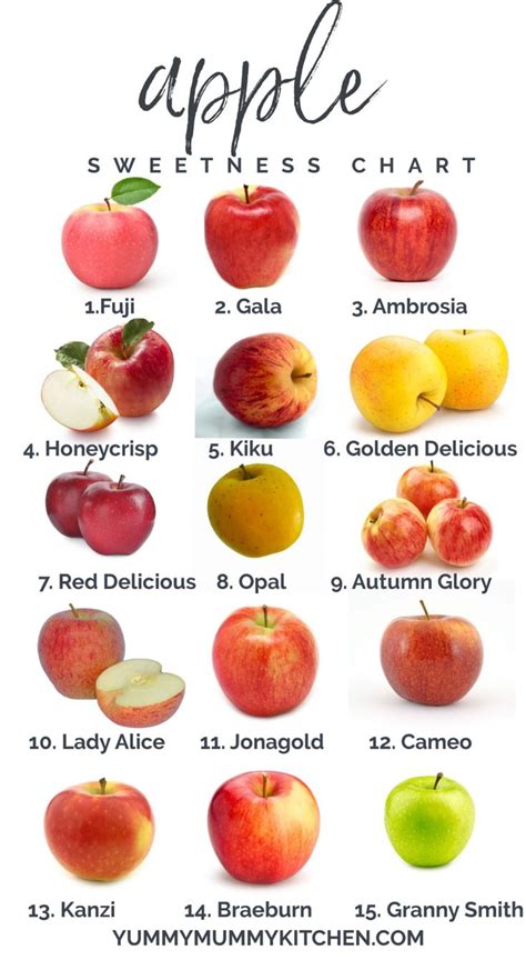 Apple Sweetness Chart Top Types Of Apples And How To Use Apple