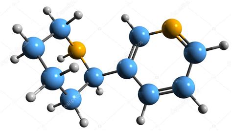 Imagen 3d De La Fórmula Esquelética De Anabasina Estructura Química
