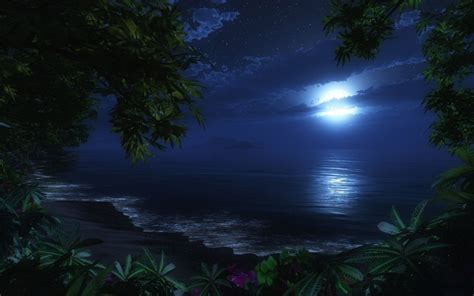 Moonlight Romance Ocean Wallpaper Beach At Night Nature Pictures