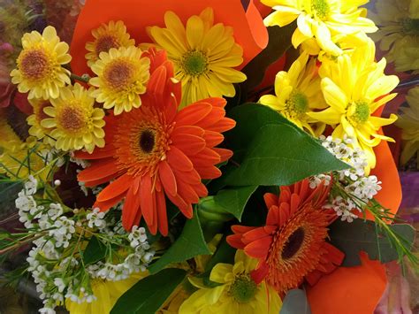 Regine Heilmann Orange And Yellow Flowers Pictures A Wow Worthy List