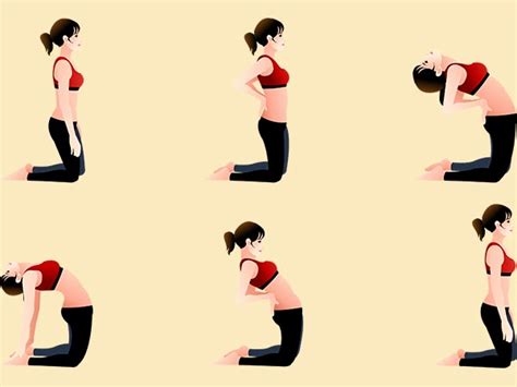 How to say ustrasana sanskrit. Ustrasana (Camel Pose) To Improve Body Posture - Boldsky.com