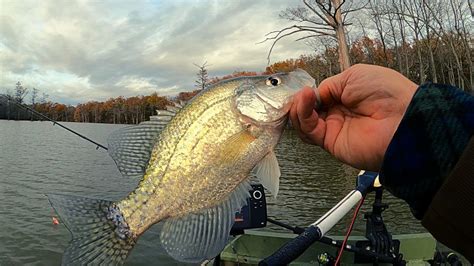 Late Fall Crappie Fishing Trolling Jigs And Minnows And The Johnson