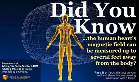 Human Heart Magnetic Field Energy Field Energy Work