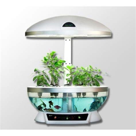 Tabletop Hydroponics Fish Tank Planter Aquaponics System With Grow