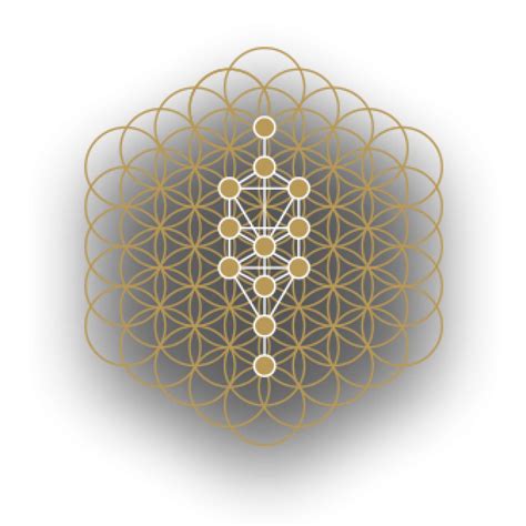 Sacred Geometry Online Course Jain 108 Academy