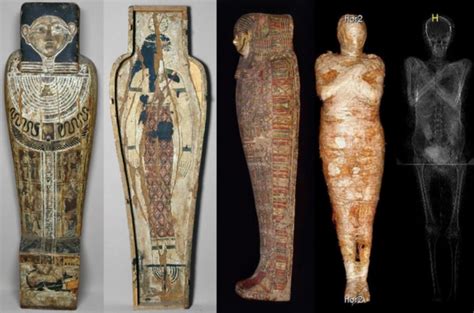 first pregnant egyptian mummy surprises researchers