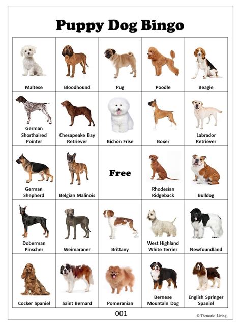 30 Puppy Dog Bingo Cards Dog Birthday Party Game Dog Breeds Etsy