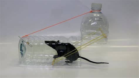 Water Bottle Mouse Rat Trap Rat Traps Mouse Trap Diy Mouse Traps