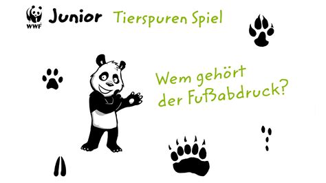 Weitere bezeichnungen sind in deutschland die allgemeine bezeichnung überraschungsei (kurz: Tierspuren Zuordnen Zum Ausdrucken - 40 Tierspuren Zum ...