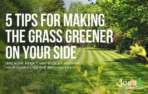 5 Tips For Making The Grass Greener On Your Side Joes Lawn Care