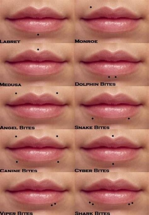 Beautiful Examples Of Lip Piercings