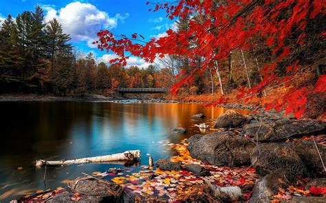 Hd Wallpaper Nature Landscape Trees Forest Red Leaves Lake