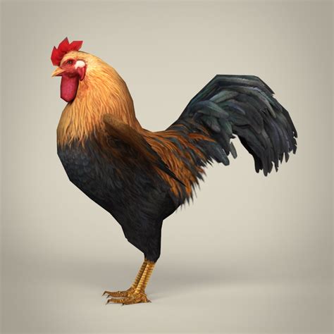 Game Ready Realistic Cock By Gamingarts 3docean