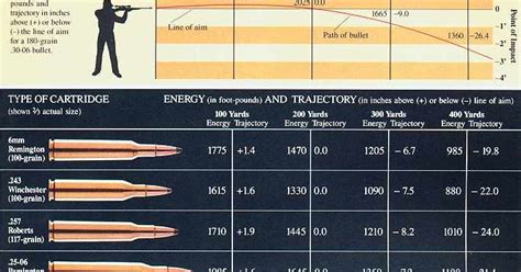 Vintage Outdoors Comparison Of Popular Hunting Rifle Ammo Calibers