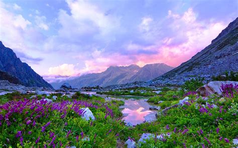 Valley Of Flowers Wallpapers Wallpaper Cave