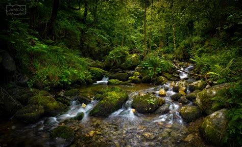 4k 5k Asturias Spain Forests Stones Trees Moss Stream Hd