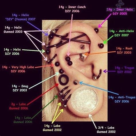 Ear Piercing Placement Chart