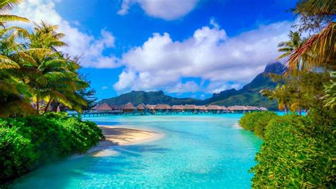 Bora Bora Summer Wallpapers For Android Apk Download
