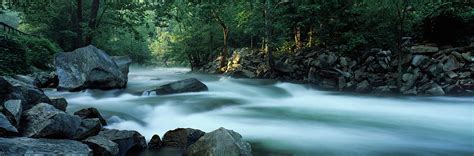 River Passing Through A Forest Photograph By Panoramic Images