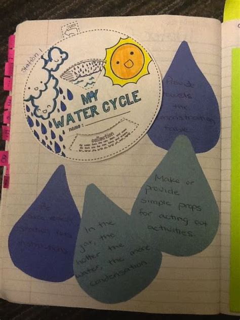 The Water Cycle Interactive Science Notebook Homeschool Life Science