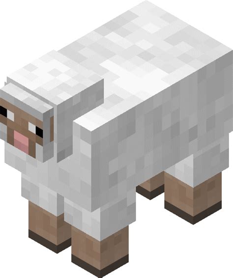 Sheep Sample Minecraft Sheep Baby Sheep Minecraft Baby