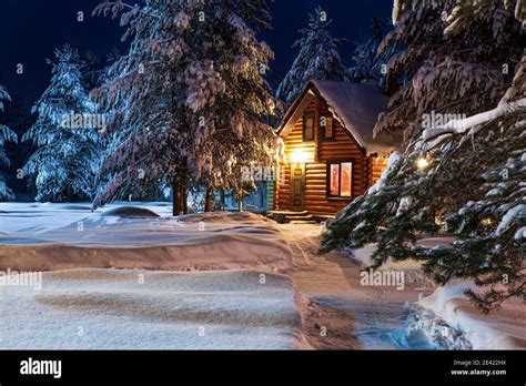 Pine Trees Forest Snow Night Hi Res Stock Photography And Images Alamy