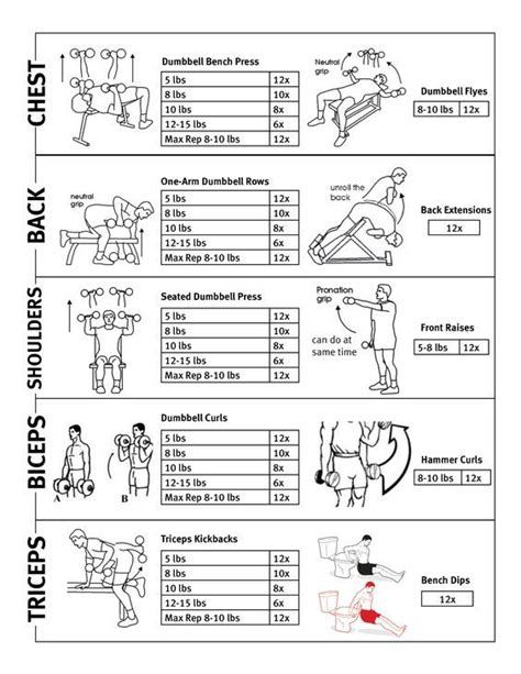 Upper Body Weight Routine Upper Body Workout Routine Weight Routine