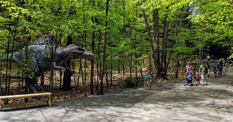 Dino Roar Valley And Magic Forest A Fun Trip To Lake George Expedition Park