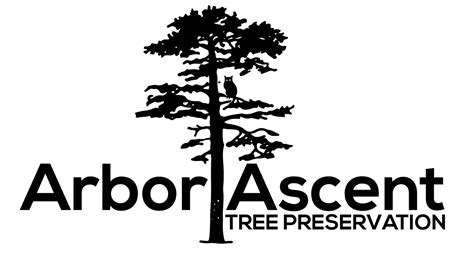 Arbor Ascent Tree Preservation