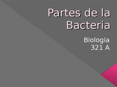 Download Pdf Partes De La Bacteria D2nv728pernk