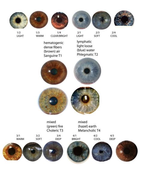 Mixed Hazel Earth Melancholic T4 Types Of Eyes Iridology
