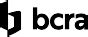 Bcra — das bureau central de renseignements et d action (bcra) (deutsch: BCRA