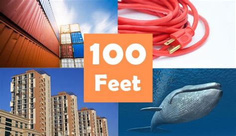 13 Things That Are 100 Feet Ft Long