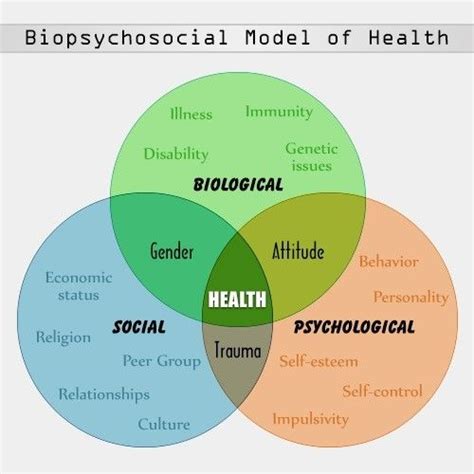 12 Biopsychosocial Model And Physiotherapy Health Psychology