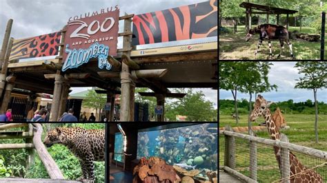 The Columbus Zoo Ohios Largest And Arguably Best Zoo