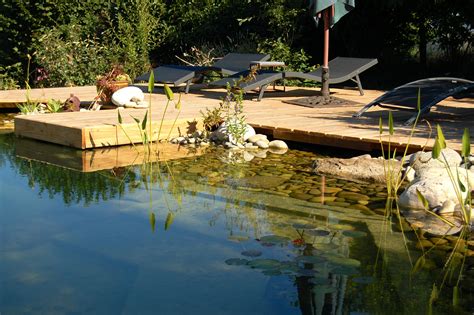 How To Build A Natural Swimming Pool Mother Earth News