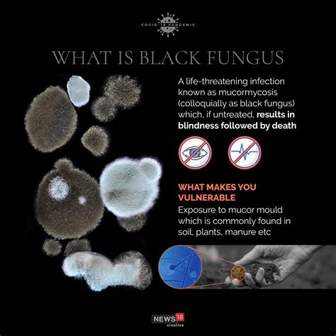 What Is Mucormycosis Or Black Fungus Forbes India