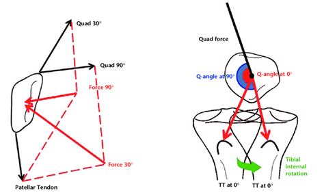 Patellofemoral Biomechanics During Knee Flexion A In The Sagittal