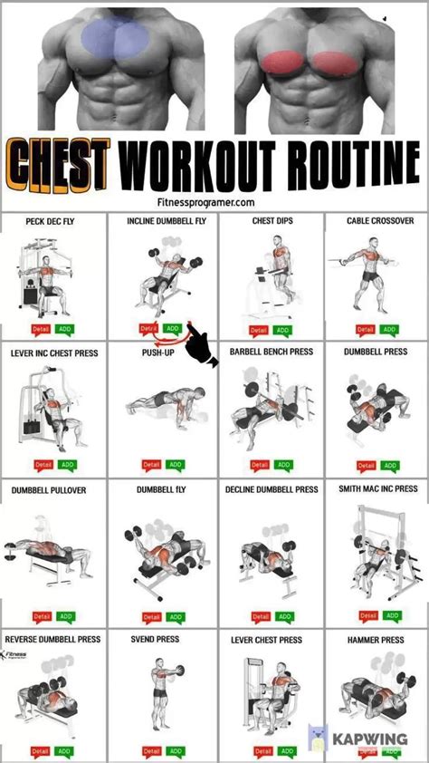 Gym Workout Chart For Chest For Men
