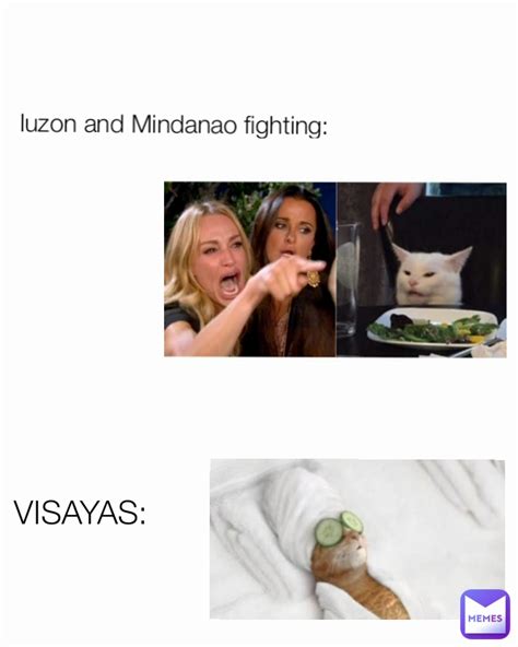luzon and mindanao fighting visayas d e lemon tree memes