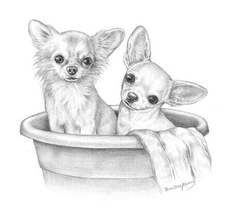 Pin By Brenda Nelson Bienhoff On Chihuahua Love Chihuahua Drawing
