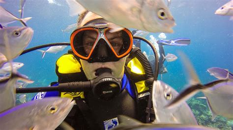 Scuba Diver Looking At Camera Passion Paradise