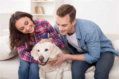 Pet Owners and House Cleaners: A Match 