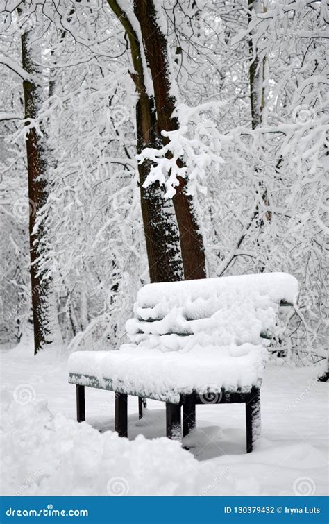 Bench Covered With Snow In The City Park In Winter Stock Photo Image