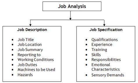 Typically reports a head of a unit. Job Analysis: Job Description and Job Specification ...