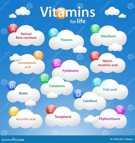 Medical Vitamins Background With Common Names Stock Vector