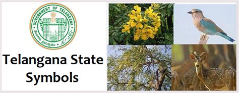 Telangana State Symbols States Official Flower Tree Bird And